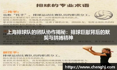 上海排球队的团队协作揭秘：排球巨献背后的默契与拼搏精神