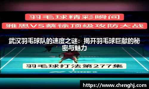 武汉羽毛球队的速度之谜：揭开羽毛球巨献的秘密与魅力