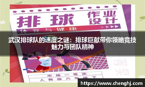 mk体育官网